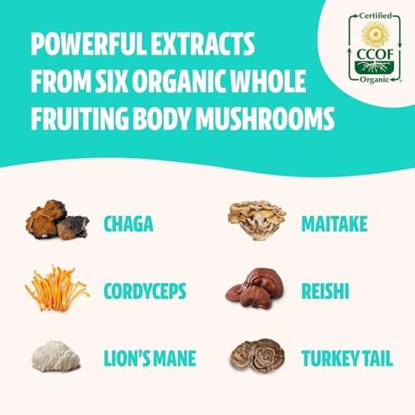 FreshCap Ultimate Mushroom Complex - Ayurveda Lions Mane, Reishi, Cordyceps, Chaga, Turkey Tail, Maitake - Immune Support & Nootropic Supplements for Immunity, Energy, Memory & Focus (120 Capsules) - Image 5