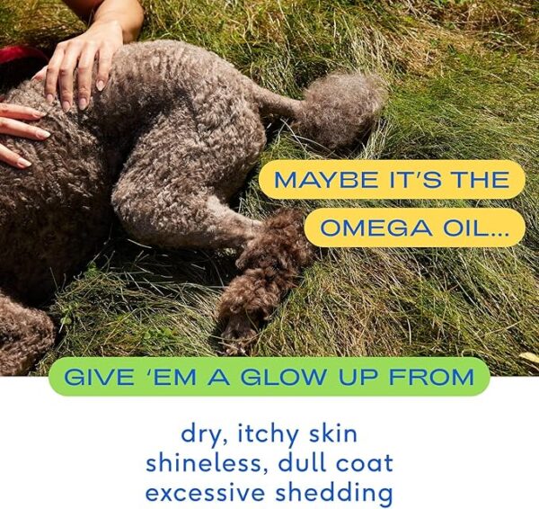 Native Pet Omega 3 Fish Oil for Dogs Supplement with Omega 3 EPA DHA, with Easy Serve Liquid Pump - Supports Itchy Skin & Mobility - Pollock & Salmon Oil for Dogs - Omega 3 Oil for Dogs - 16 oz - Image 7