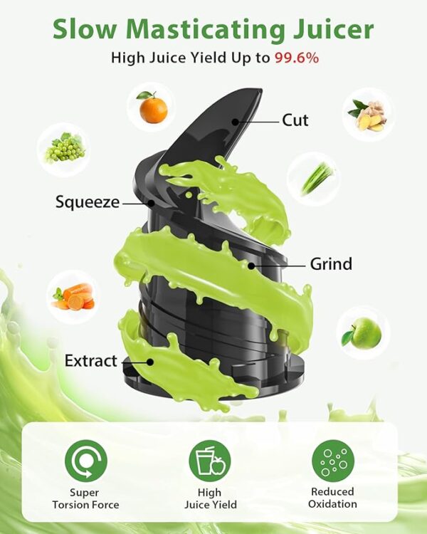 Juicer Machines, ECOSELF Cold Press Juicer with 4.35" Large Feed Chute Fit Whole Fruits and Vegetables, Juice Extractor Self Feeding Effortless for Batch Juicing, Easy to Clean, High Juice Yield - Image 2