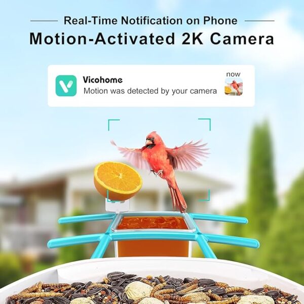 birdsnap® TUC- Bird Feeder with Camera 2K Live Stream 160°View with Solar Panel 32GB Card 4-in-1 Perch, Auto Notify AI Identify 10000+ Bird Watching Camera 2.4G WiFi Wireless Outdoor for Bird Lover - Image 5