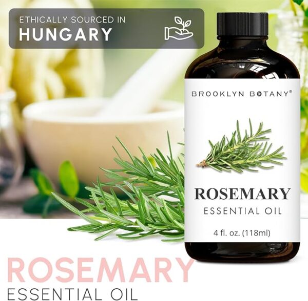 Brooklyn Botany Rosemary Essential Oil - Huge 4 Fl Oz - 100% Pure and Natural - Premium Grade with Dropper - for Aromatherapy and Diffuser - Image 5