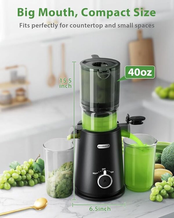 Juicer Machines, ECOSELF Cold Press Juicer with 4.35" Large Feed Chute Fit Whole Fruits and Vegetables, Juice Extractor Self Feeding Effortless for Batch Juicing, Easy to Clean, High Juice Yield - Image 3