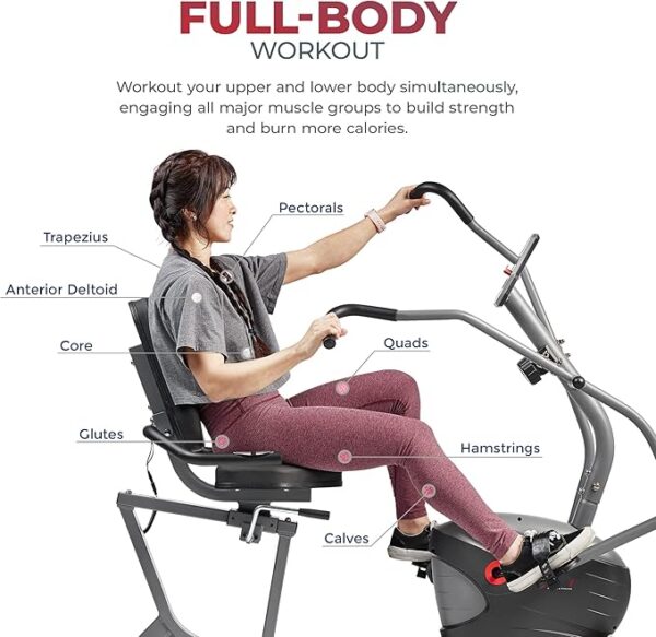 Sunny Health & Fitness Compact Performance Recumbent Bike w/Dual Motion Arm/Leg Exercisers for Senior Home Training w/Quick Adjust Seat & Optional Exclusive Free SunnyFit App Bluetooth Connectivity - Image 3