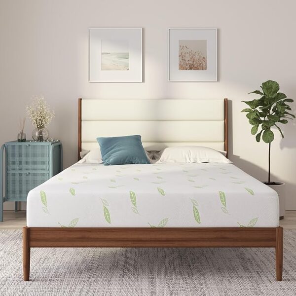 NapQueen Twin Size Mattress, 6 Inch Anula Green Tea Infused Memory Foam Mattress, Twin Size Mattress Bed in a Box, CertiPUR-US Certified Mattress