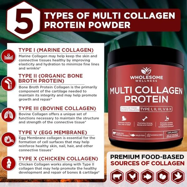 Multi Collagen Protein Powder Hydrolyzed (Type I II III V X) Grass-Fed All-in-One Super Bone Broth + Collagen Peptides - Premium Blend of Beef, Chicken, Wild Fish, Eggshell, 58 Servings, Unflavoured - Image 6
