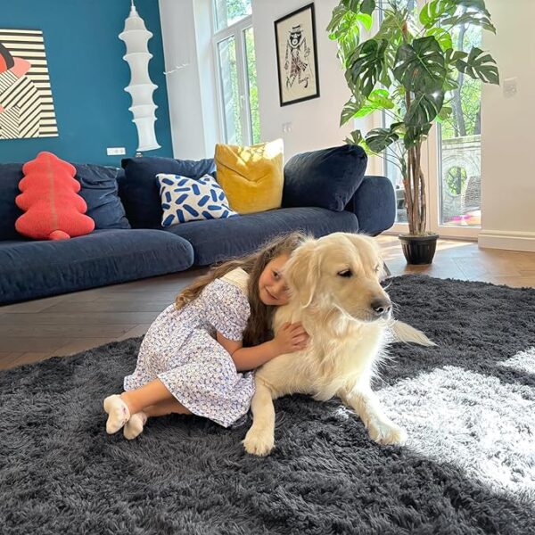 OLANLY Area Rugs for Living Room Bedroom, Machine Washable 4x5.9 Feet Soft Fluffy Shaggy Bedside Rug, Indoor Floor Carpet for Kids Girls and Boys, Dorms, Nursery Rooms, Home Decor Aesthetic, Grey - Image 6