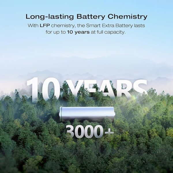 EF ECOFLOW DELTA 2 Max Power Station Extra Battery, 2048Wh LiFePO4 (LFP) Battery, Compatible with DELTA 2&DELTA Max 2000&DELTA 2 Max Outdoor Generators - Image 5