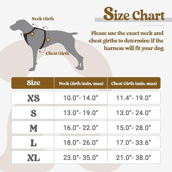 rabbitgoo Dog Harness No Pull with 2 Leash Clips, Adjustable Soft Padded, Reflective Oxford No Choke Pet Vest with Easy Control Handle for Large Dogs, Black, L - Image 2