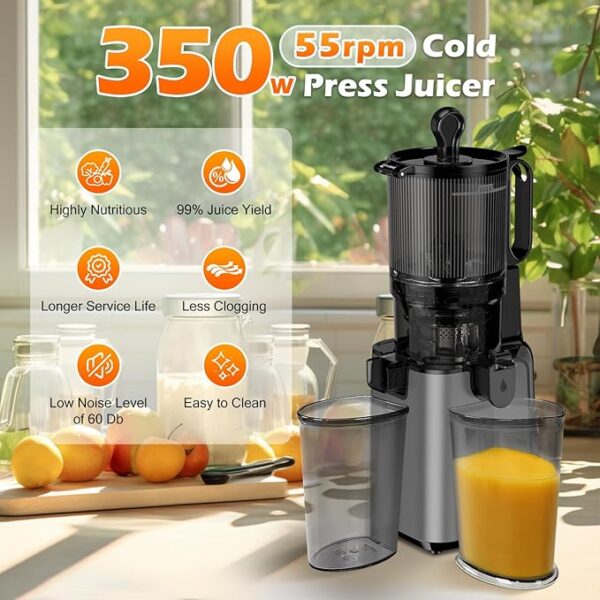 Juicer Machines with 5.8" Extra Large Feed Chute, Cold Press Juicer For Whole Vegetables and Fruits, 350W Professional Masticating juicer Easy to Clean for Batch Juicing (Titanium Gray) - Image 4