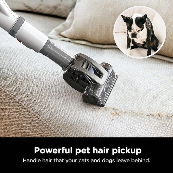 Shark Upright Vacuum, Navigator Lift-Away with Swivel Steering, HEPA Filter, XL Dust Cup, Pet Power, Dusting Brush, and Crevice Tool, Perfect for Pet Hair, White/Silver, NV356E - Image 2