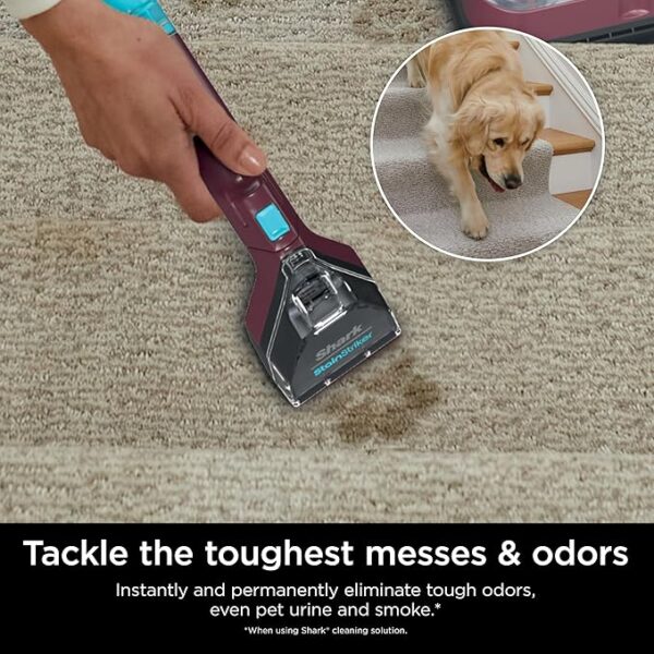 Shark Carpet Cleaner Machine, Portable Upholstery StainStriker, Spot, Odor & Stain Remover, 2 Carpet Cleaner Solutions, 3 Tools, Perfect for Pet Hair, Area Rugs, Couches, Burgundy, PX203BRN - Image 3
