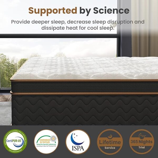 Queen Mattress, 14 Inch Plush Hybrid Mattresses with Gel Memory Foam, Fiberglass-Free Mattress in a Box, Individual Pocket Spring-Motion Isolation-Extra Edge Support, 365 Nights Trial,CertiPUR-US - Image 3