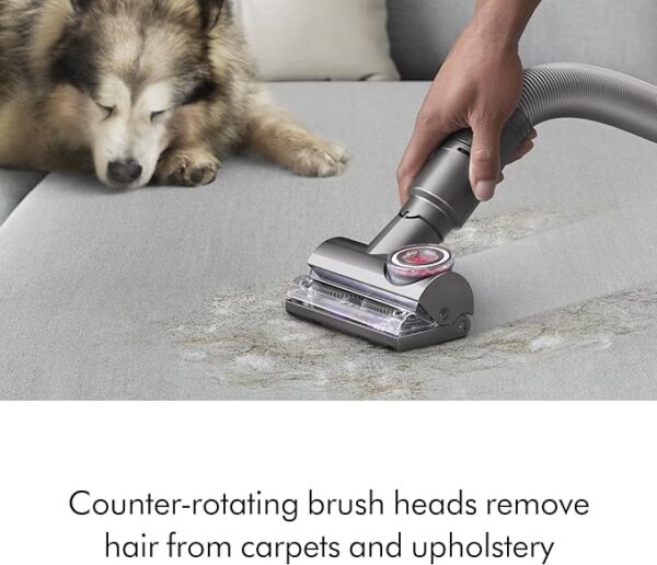 Dyson Ball Animal Total Clean Upright Vacuum, Iron/Blue - Image 3